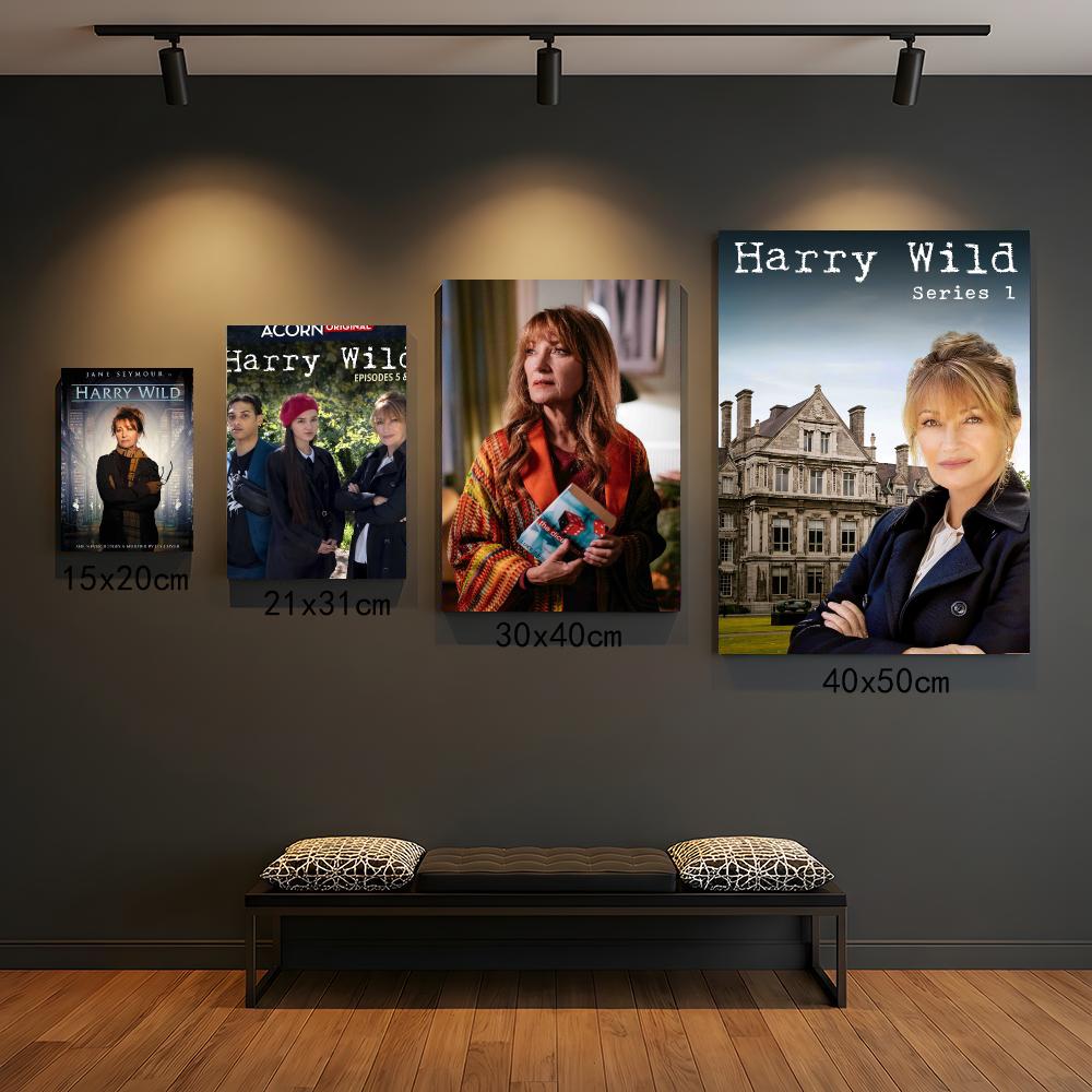 Interior Design Tv Room - tv series H-Harry Wild-D Painting Calligraphy