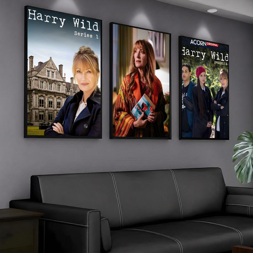tv series H-Harry Wild-D Paint - Interior Design Tv Room review and price