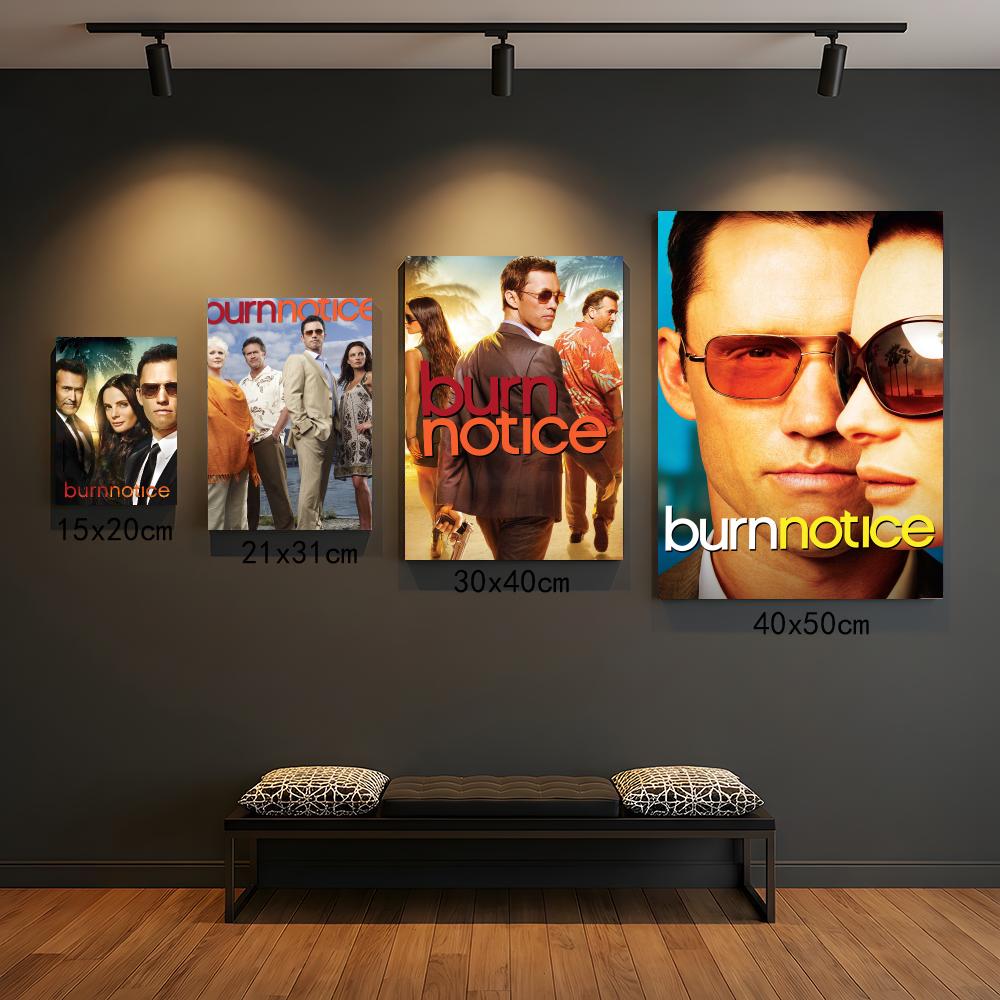 tv series B-Burn Notice-E Pain - Interior Design Tv Room review and price
