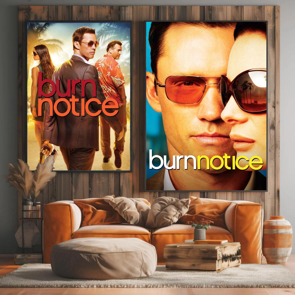 tv series B-Burn Notice-E Pain - Interior Design Tv Room review and price