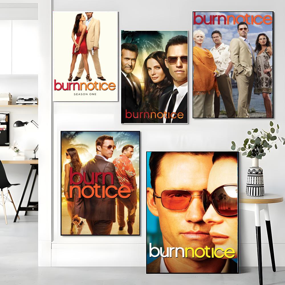 tv series B-Burn Notice-E Pain - Interior Design Tv Room review and price