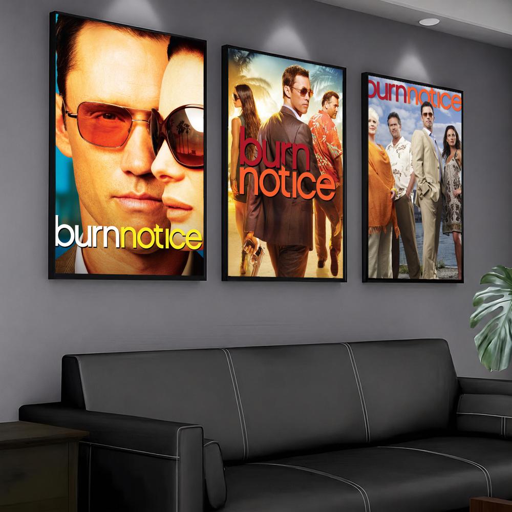 tv series B-Burn Notice-E Pain - Interior Design Tv Room review and price